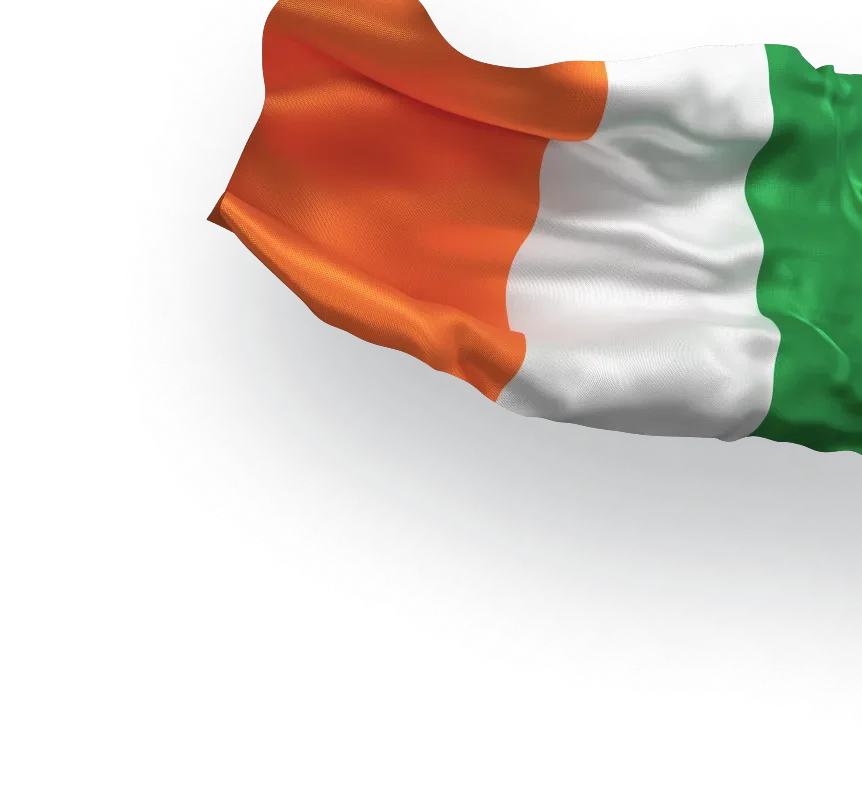 Residentes y ciudadanos irlandeses